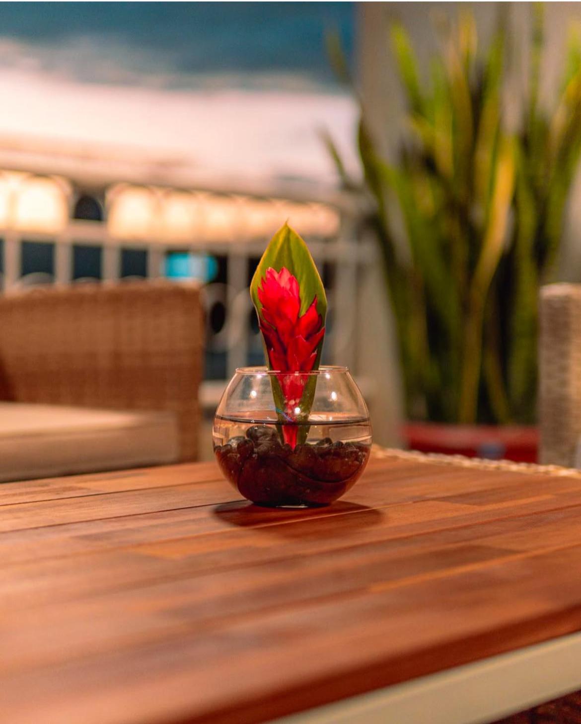 Hotel Nilas Тарапото Экстерьер фото